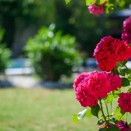 Hébergement de vacances Haus Rustica *