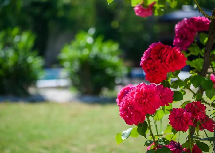 펜션 Haus Rustica *